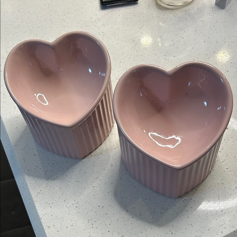 Cat Food Dishes (Set of 2)